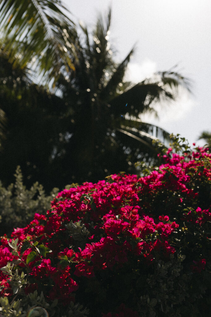 Ocean View Club, Bahamas Wedding